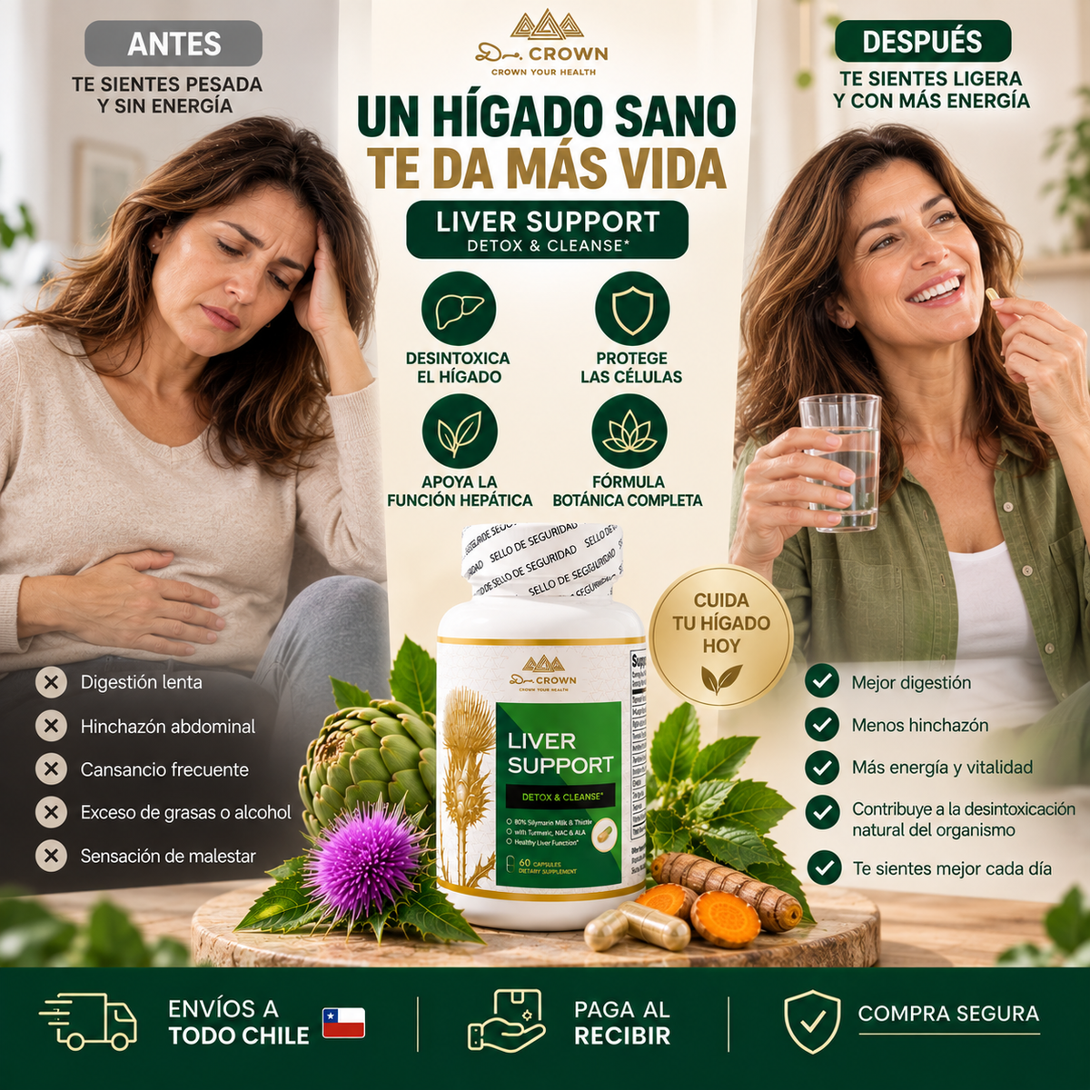 Liver Support